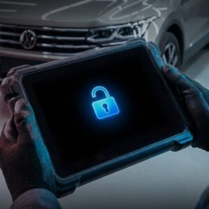 SGW VW VAG SFD SFD2 Todpon Phoenix Serie Jahreslizenz